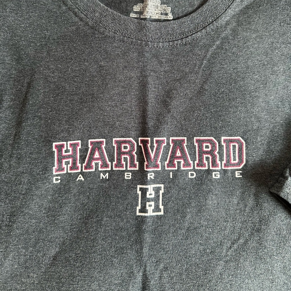 Hanes Dark Gray Harvard T-Shirt. XL